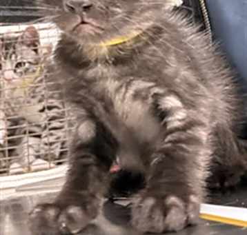 Photo of ERNIE
