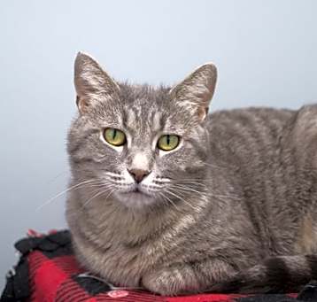 Photo of Anastasia