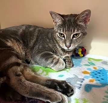 Photo of FABLE