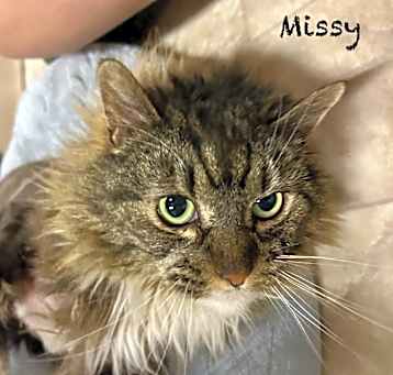 Photo of CCRH-Missy