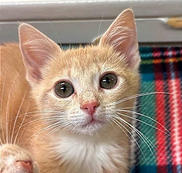Photo of Sally