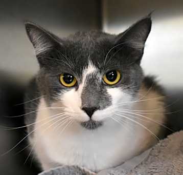 Photo of milo