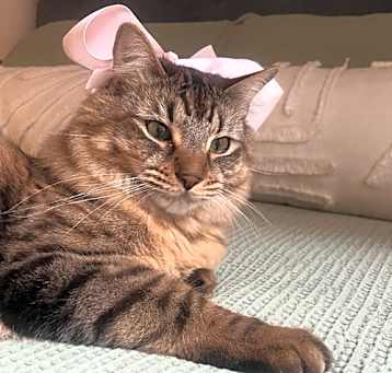 Photo of Gigi