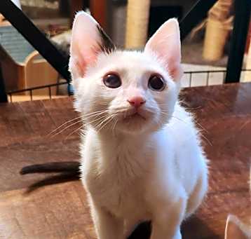 Photo of Miny