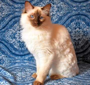 Photo of Betty
