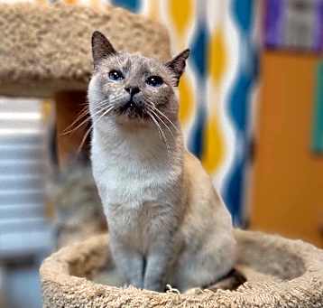 Photo of Tova