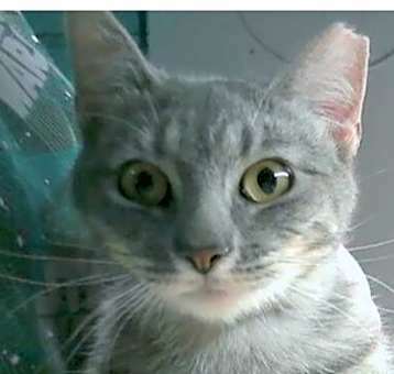 Photo of Marie