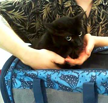 Photo of JIJI