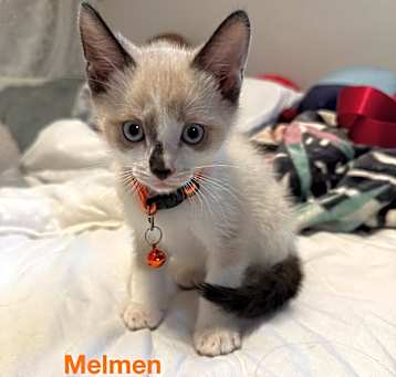 Photo of Melmen 