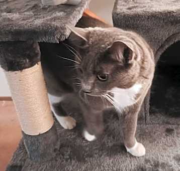 Photo of Sadi