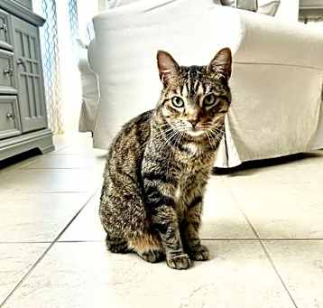 Photo of Coco