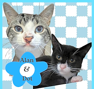 Photo of Alan