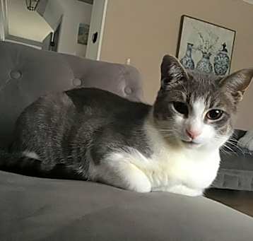 Photo of Pati