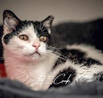 Photo of Sugar