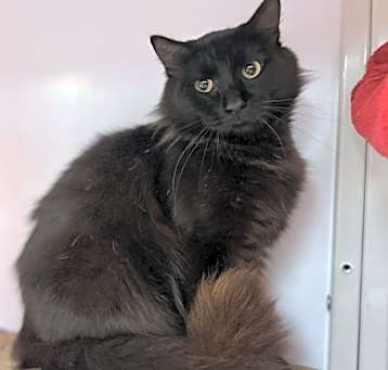 Photo of Asher