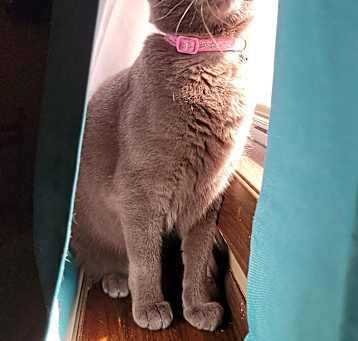 Photo of Runa