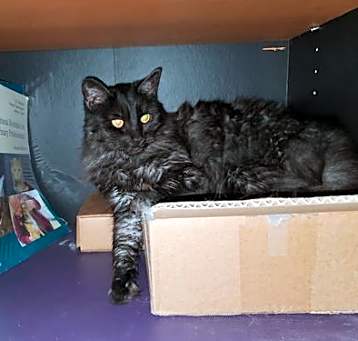 Photo of Wednesday