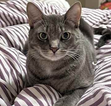 Photo of Gandalf
