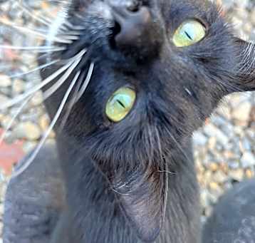 Photo of Mae-mae