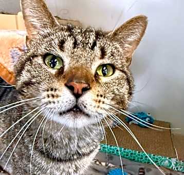 Photo of Oliver