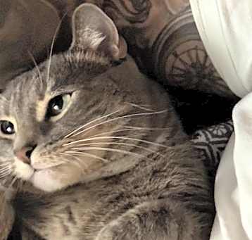 Photo of Hera