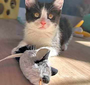 Photo of Lily