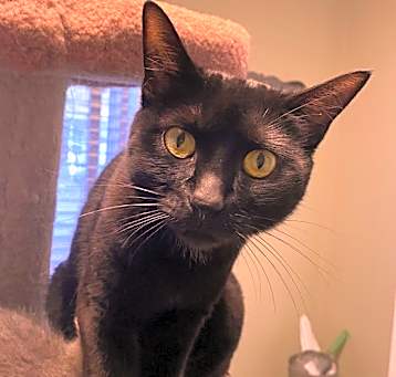 Photo of Little Missy