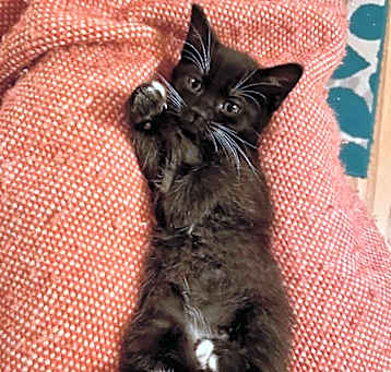 Photo of Kenai