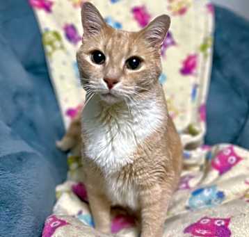 Photo of Rudy