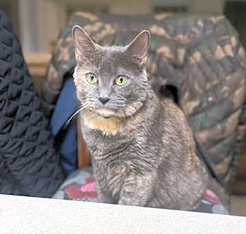 Photo of Betty