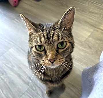Photo of Lucy