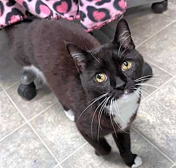 Photo of Gwennie (Tripod):  At shelter