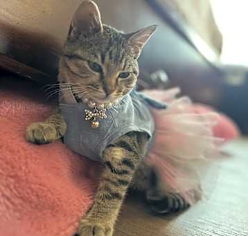 Photo of Cleopatra