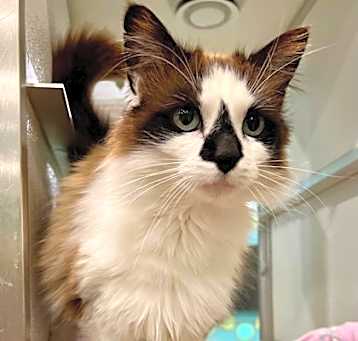 Photo of Anastasia