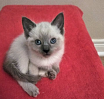 Photo of Tatyana