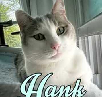 Photo of Hank