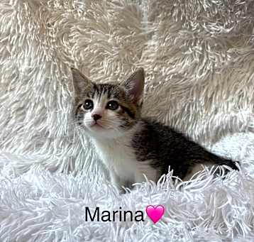 Photo of Marina