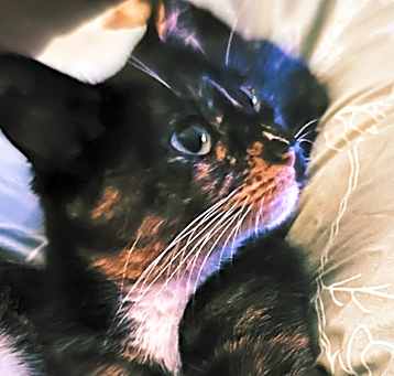 Photo of Jinxy