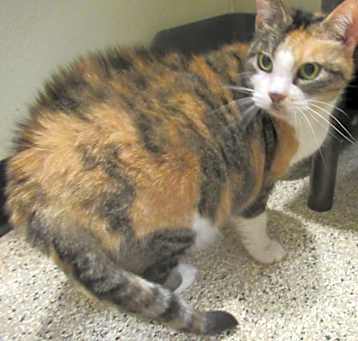 Photo of Molly
