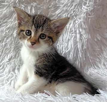 Photo of Matilda