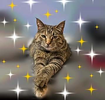 Photo of Drizzle