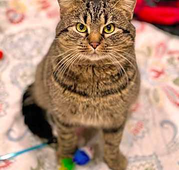 Photo of Buddy