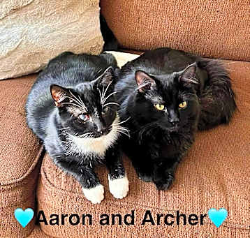 Photo of Aaron and Archer