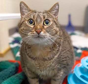 Photo of MIMI
