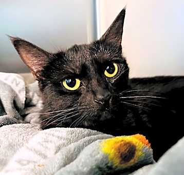 Photo of Eris