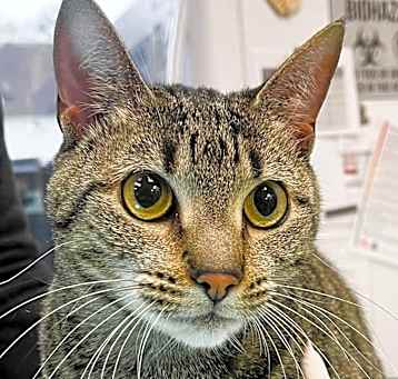 Photo of Stormy
