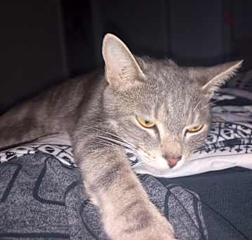 Photo of Lala