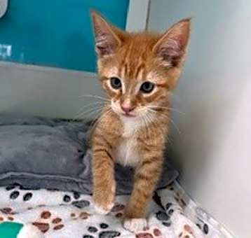 Photo of Garf 
