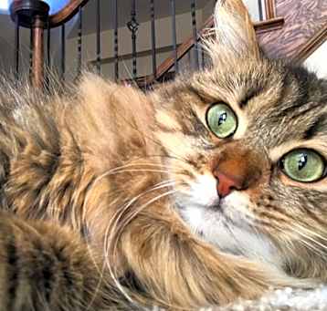 Photo of Hermione