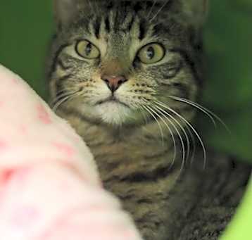 Photo of Chatterbox
